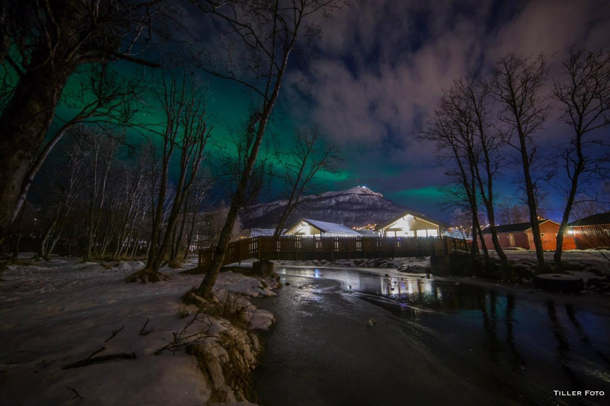 Tromso Lodge & Camping Dış mekan fotoğraf